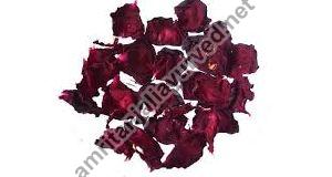rose-petals-1630041990-5960529.jpeg